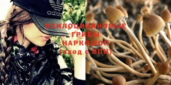 амф Абаза