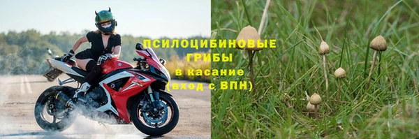 амф Абаза